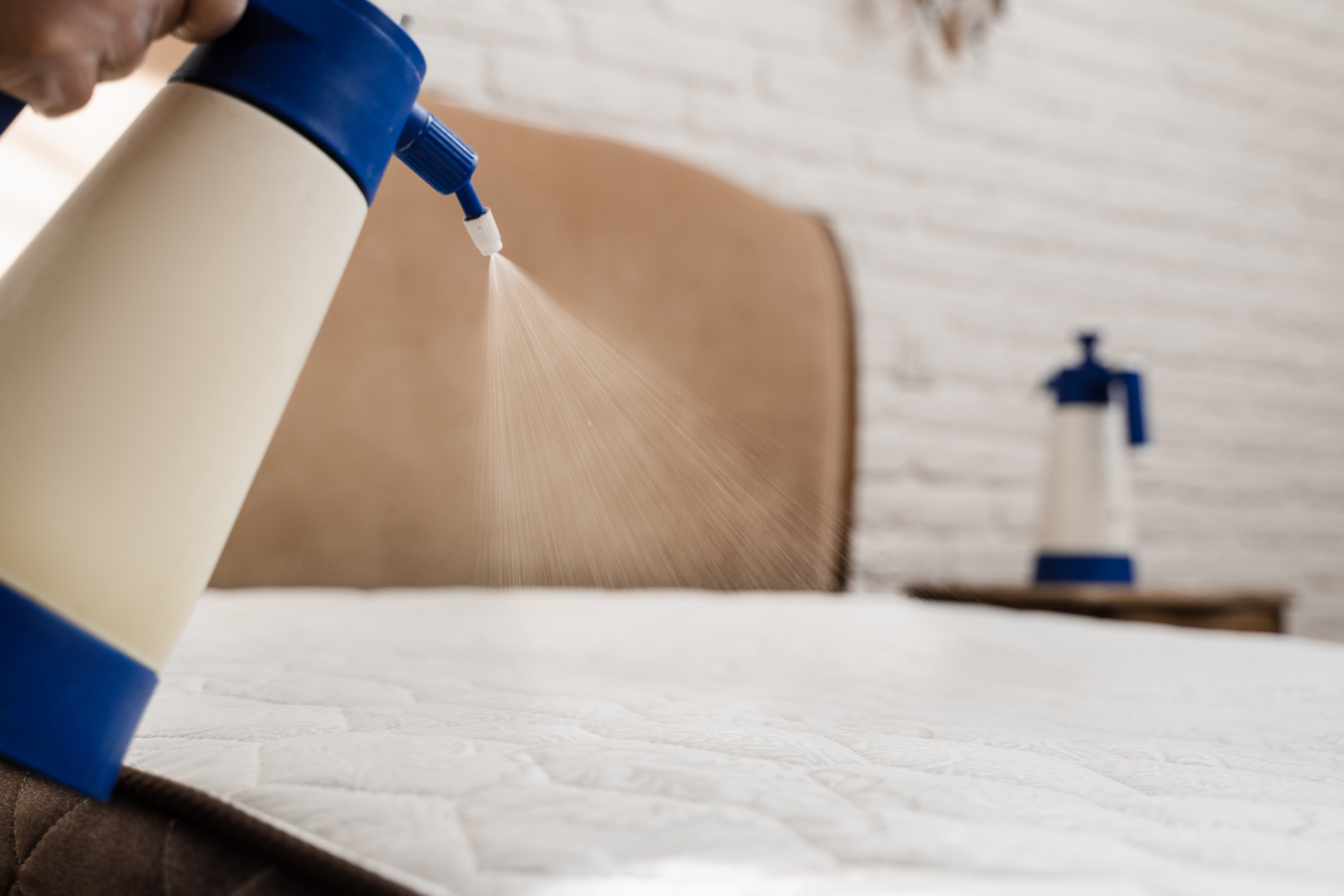 Cleaning Service 4